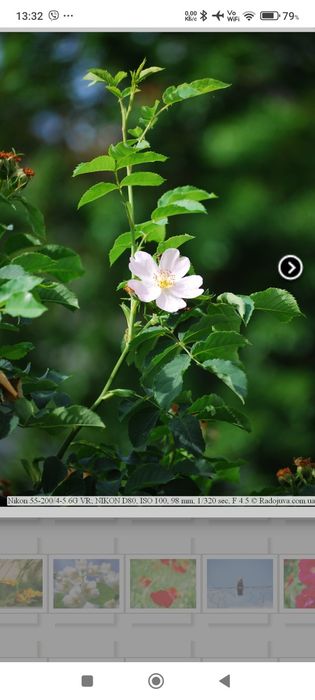 Телеобъектив Никон 55-200 мм