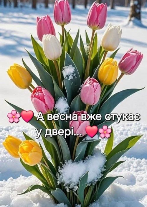 Трекінгові термо  ботинки Dachstein. Розмір 44(28 см)