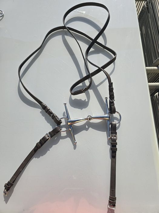 Selim de cavalo com acessórios