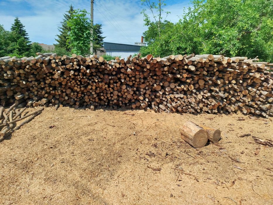 Olcha drewno opałowe