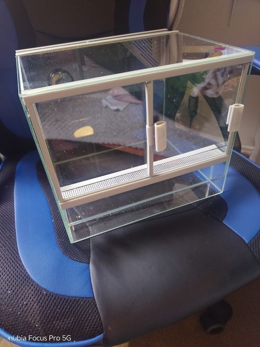 Terrarium Diversa