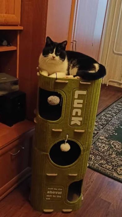 Лежанка для котика або маленькоі собачки когтеточка будинок для кота