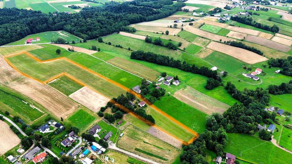 Siedlisko z domem i lasem, 3,10ha, Szerzyny, powiat tarnowski