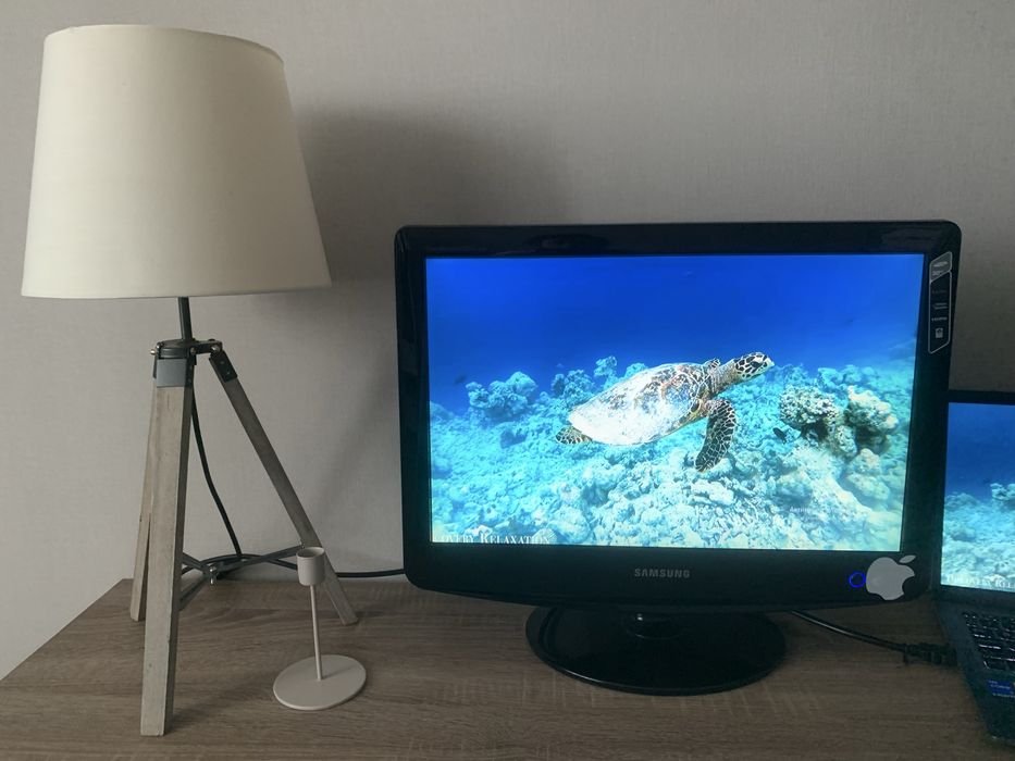 Монітор SAMSUNG 20 ʼʼ 2032 MW LS20PMASF/EDC