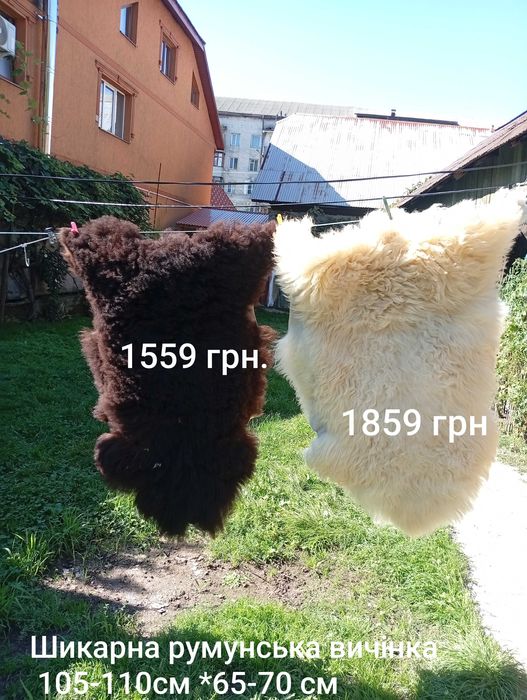 олень, баран,козел з рогами на стіну