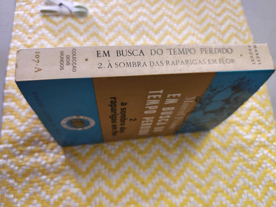 Em busca do tempo perdido - Marcel Proust