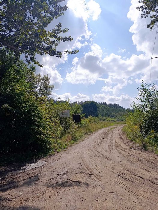 Przetargi na sprzedaż działek budowlanych w Knyszynie - Widok 2