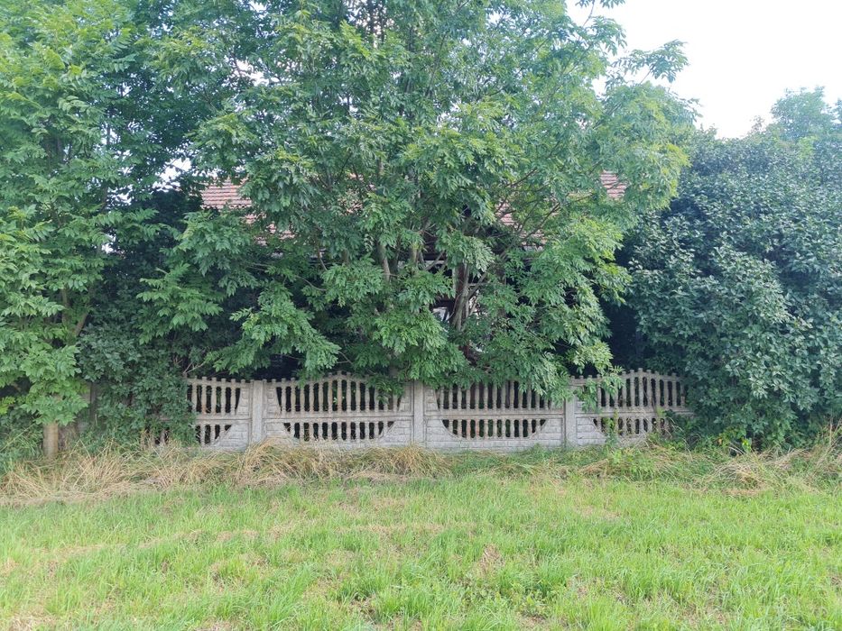 Dom – Witkowice, powiat stalowowolski - Widok 3