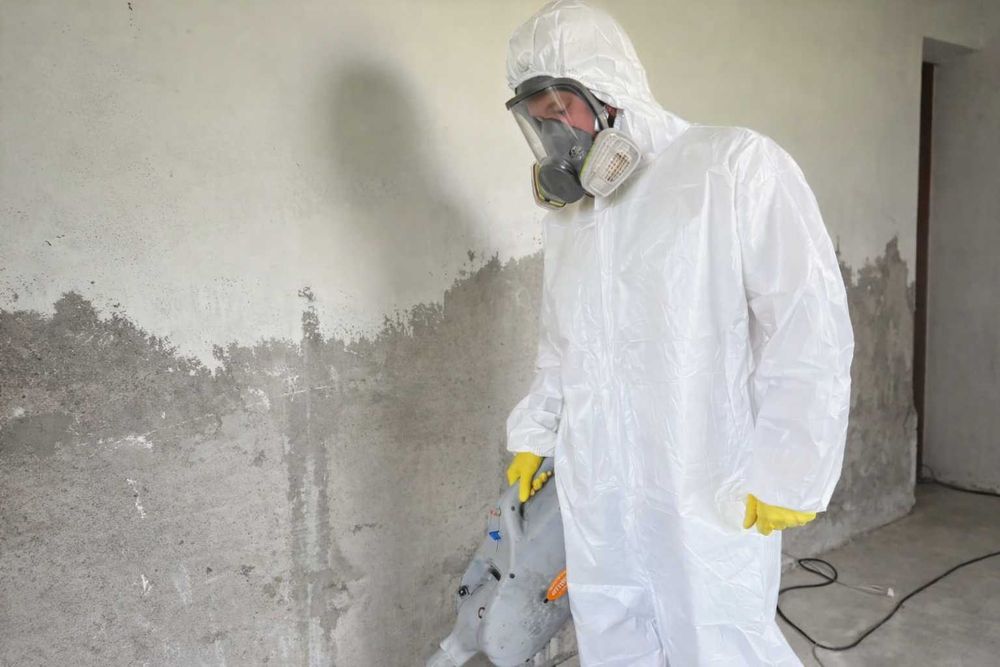 Обробка від тарганів клопів мишей | Дезінфекція квартири | Гарантія