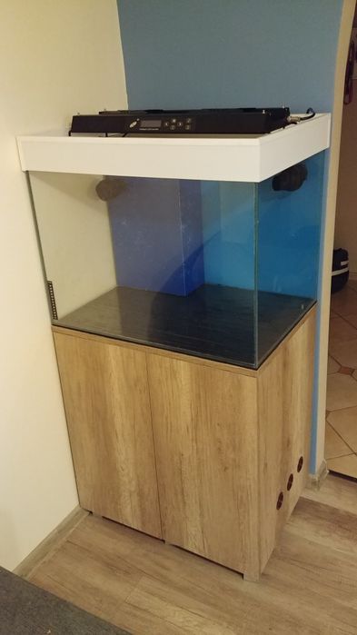 Akwarium morskie zestaw