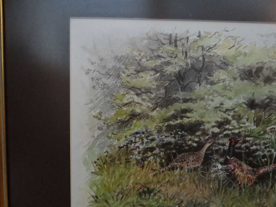 Obraz ,,Bażanty '' litografia barwna 1977 r