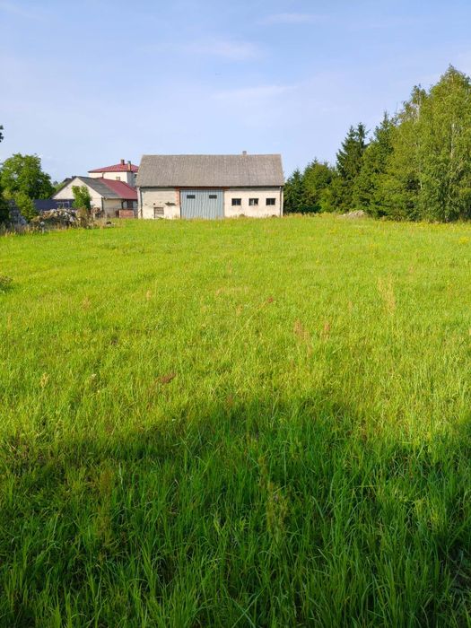 Działka Rolna z budynkiem gospodarczym.