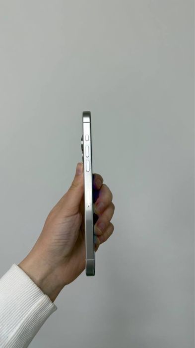 Iphone 15 Pro Max 256 gb 91%(silver  titanium)