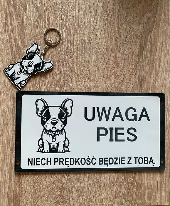 Tabliczka uwaga pies