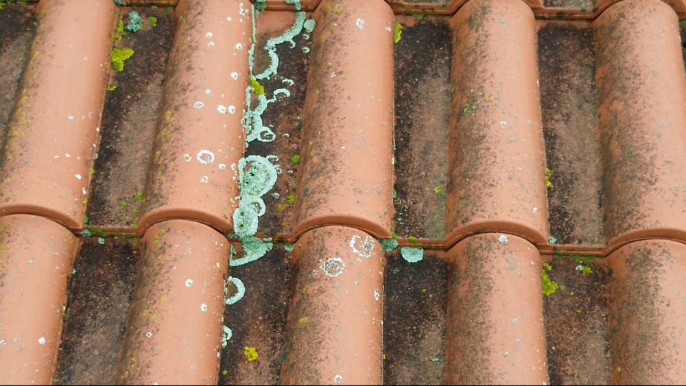 Serviços de Inspeção de Telhados