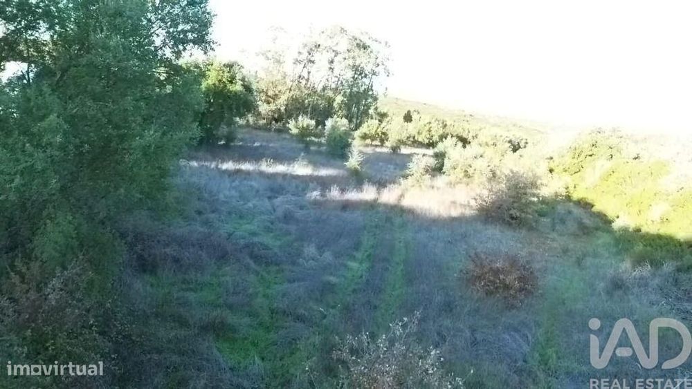 Terreno em Almoster
