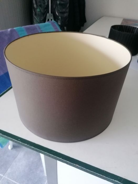 1 Ceiling Lampshade