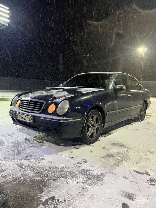 Продам живий  w210