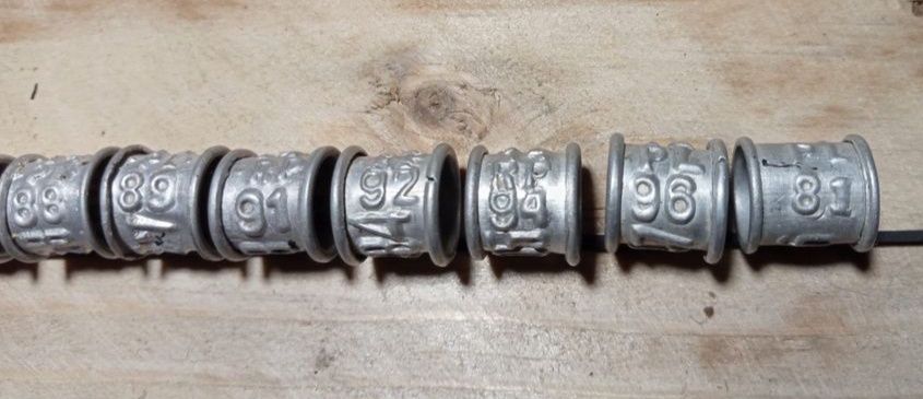 Obrączki dla gołębi pocztowych