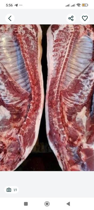 Продам домашні тушки свині