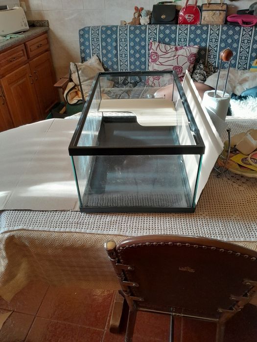 Tartarugueira Tortum 55