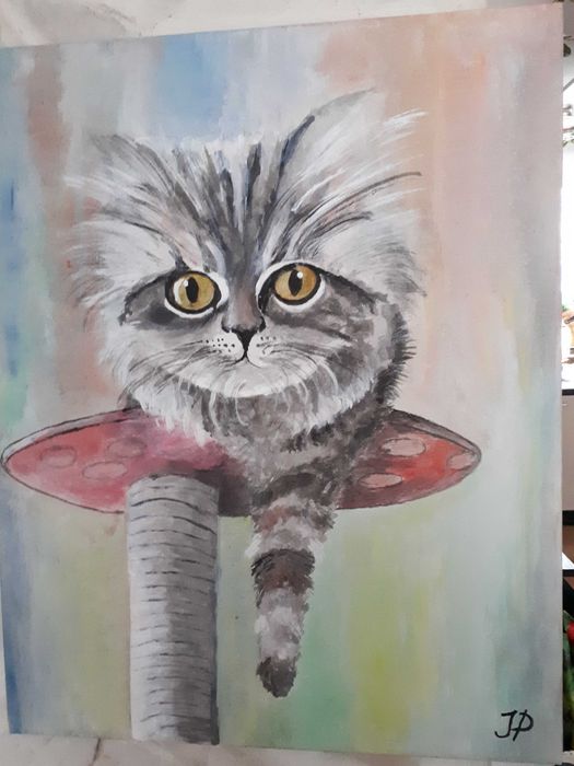 Koty,  kotki,  kociaki, " Wiszący  kotek"