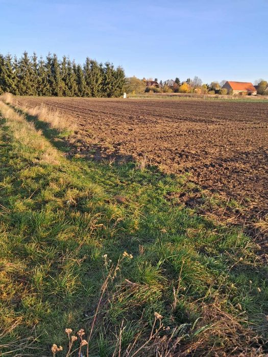 Działki budowlane na sprzedaż