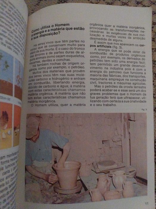 Temas do mundo vívo