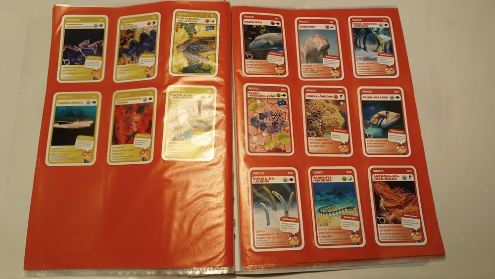 Oceanos. Cartas Pingo Doce. 120 cartas