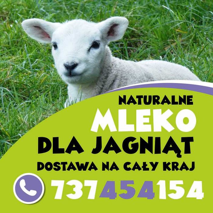 mleko dla jagniąt kozlat  szybka wysyłka na cały kraj nawt tego samego dnia