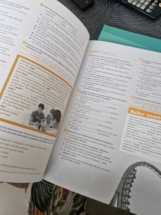 Gold experience workbook B1+