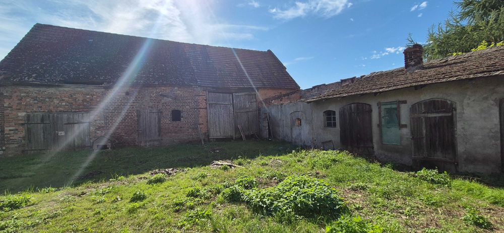 Dom z dużą stodołą, spokojna okolica, ogród i działka 0,82 ha Czarnowo