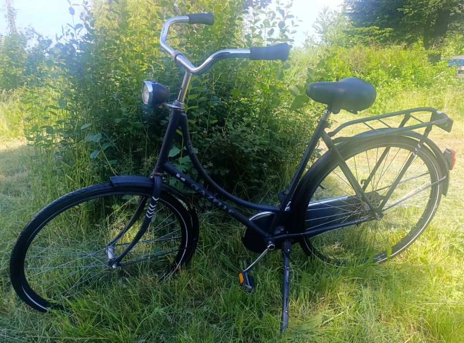,,Gazelle " oryginalna damka holenderska