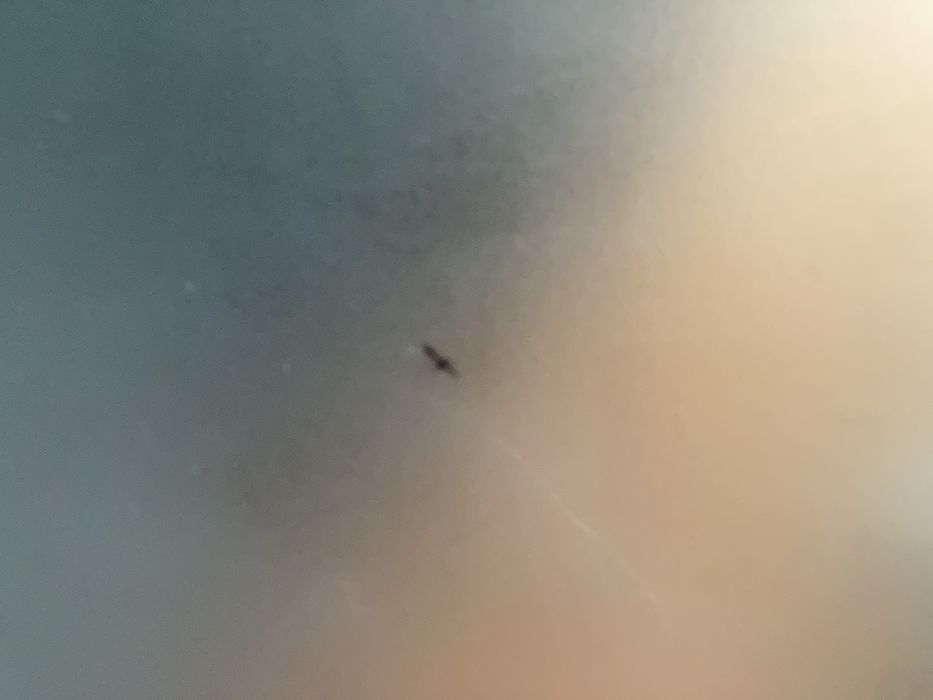 Secretaria com Vidro Temperado