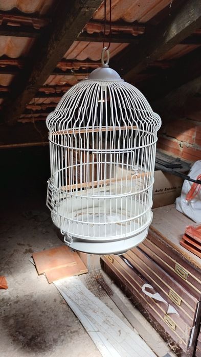 Gaiolas para canários piriquitos