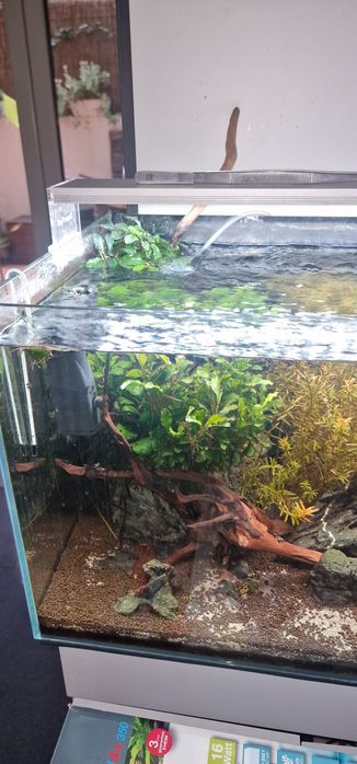 Aquário 80x40 kit completo