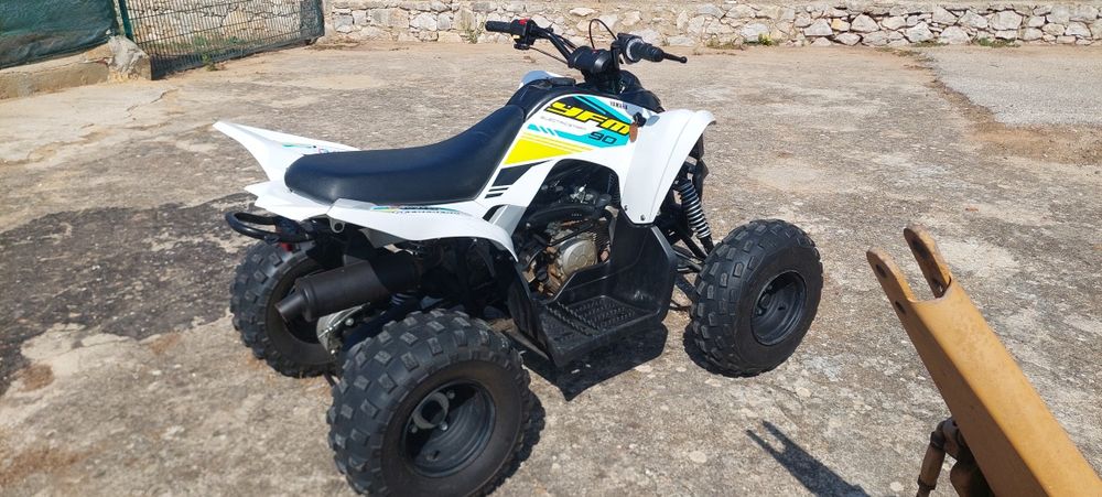 Yamaha YFM 90 RAPTOR