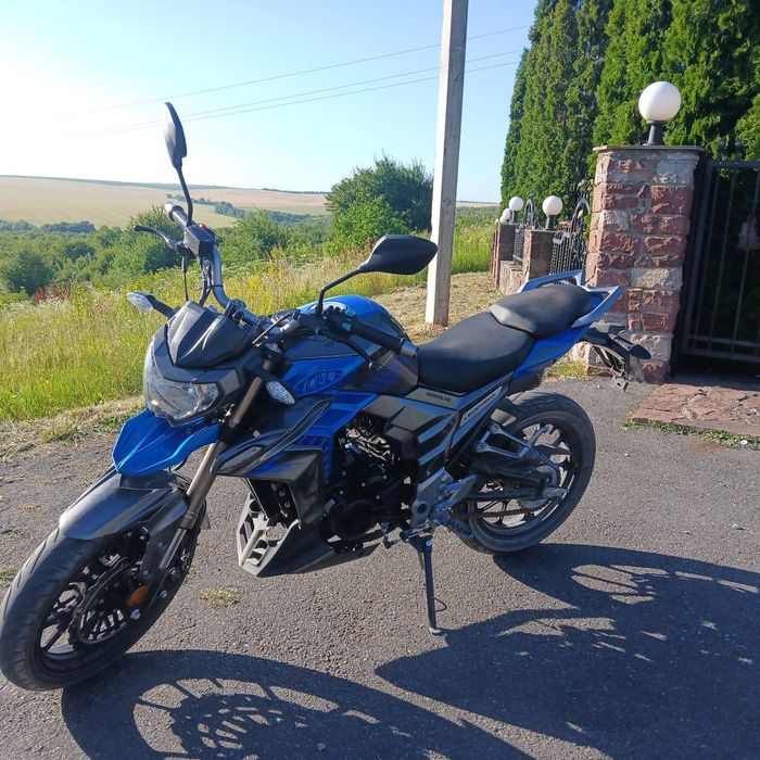 Senke leopard 300