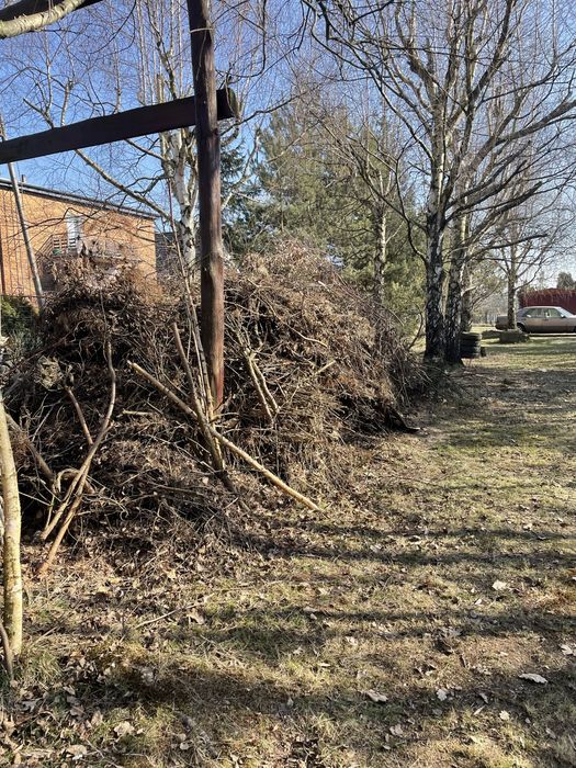 Drewno opałowe iglaste i owocowe