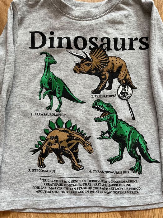 Koszulka długi rękaw szara dinozaury dla chłopca, roz 98/104, H&M