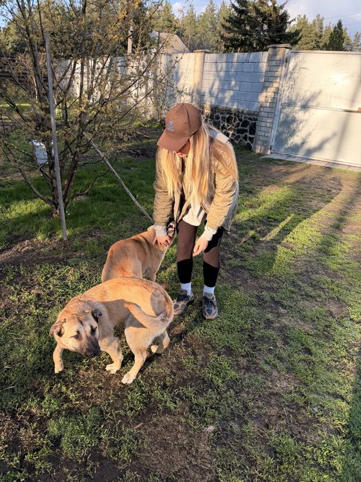 Дні дівчинки шукають дім