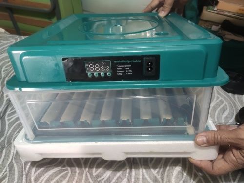 [Preço EXCLUSIVO]Incubadora 36 ovos Automática* Portes Incluídos