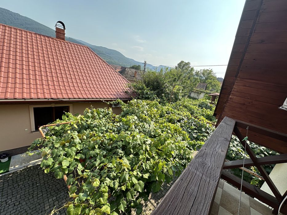 Відпочинок у Карпатах