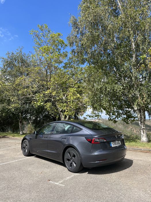 Tesla Model 3 Standart RWD Plus
