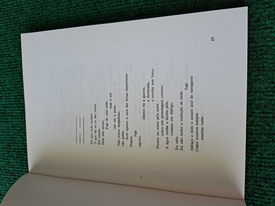 O Lago - poema em forma de I-Ching - Margarida Lisboa