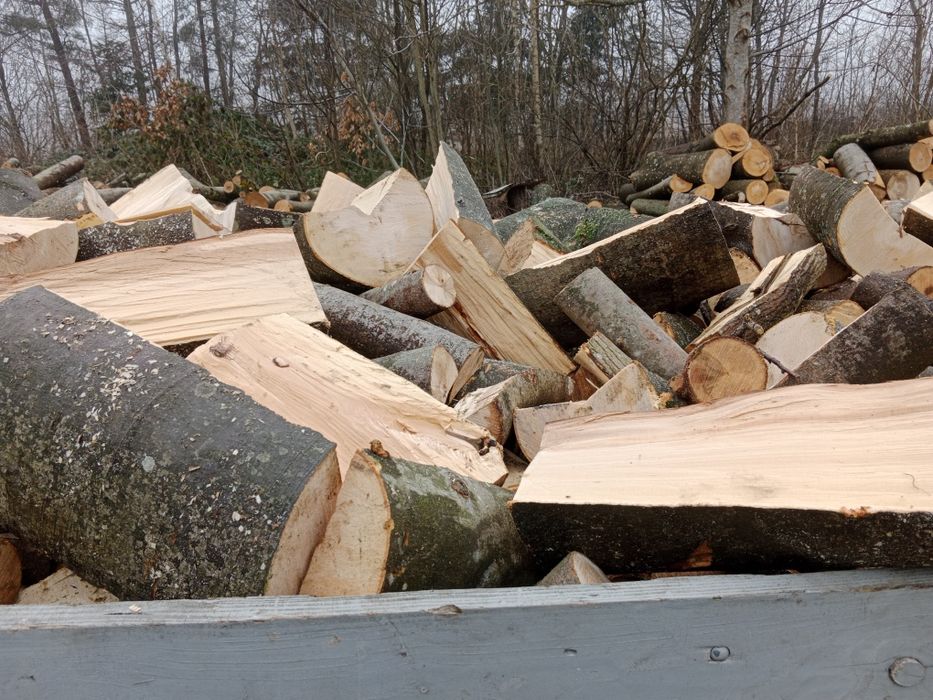 Drewno drzewo  Kominkowe