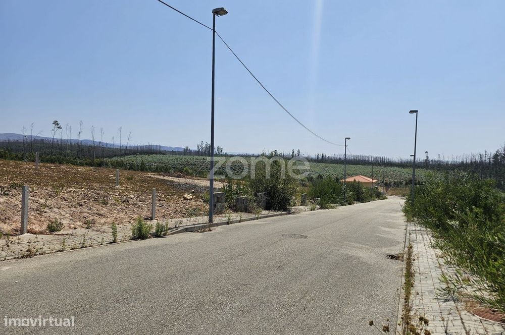 Plot of Land, Valongo do Vouga