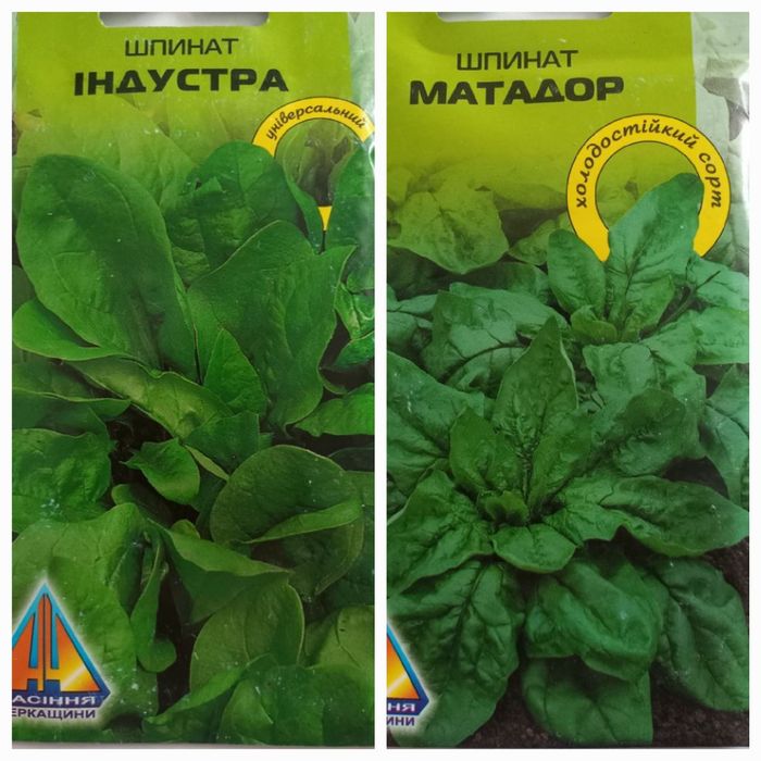 Фасоване насіння спецій