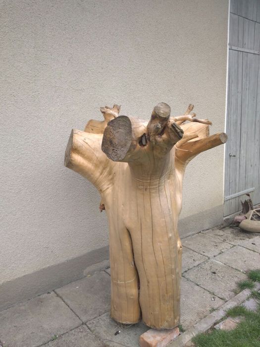 Korzeń ozdobny duży