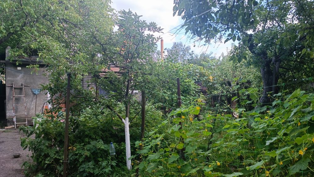Продам добротний будинок по вул. Руфа